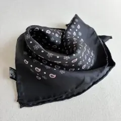 Item thumbnail for item 620fdcd8-da23-450a-969e-9619bbfd9758