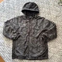 Item thumbnail for item 06811fe9-6d2d-4a4d-ab29-eee52954c922