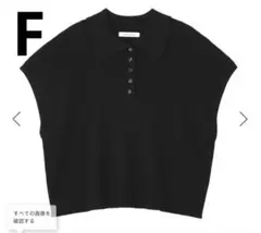【AMERICAN HOLIC】フレンチスリーブリブニットポロのサムネイル