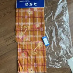 Item thumbnail for item 22b0f985-5666-431a-ae95-c4fdf7b2ebcb