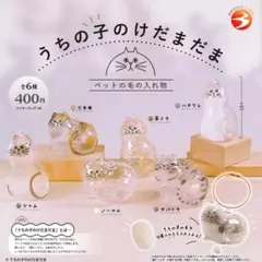 うちの子のけだまだま　シャム2つ　豆様