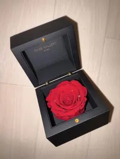 2026年最新】ローズギャラリーの人気アイテム - メルカリ