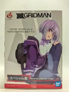 SSSS.GRIDMAN ヴィレッジヴァンガード　アクリルスタンド　新条アカネ SSSS.GRIDMAN ヴィレッジヴァンガード アクリルフィギュア 新条アカネ
