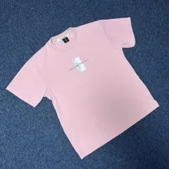 インザペイント Tシャツ 半袖