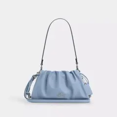本日のみ価格COACHフェイ ショルダー バッグ・ルーシング