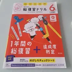 旺文社の総復習ドリル 小学6年生