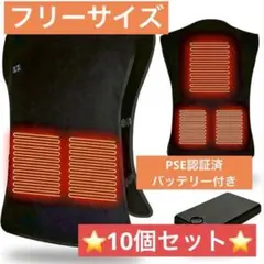 電熱ベスト 10セット 男女兼用 フリーサイズ 作業用 登山 キャンプ バイク