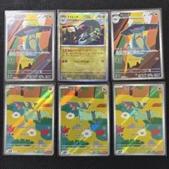 6枚セット ドロンチ ドラメシヤ マスボ AR