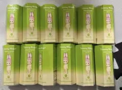 Sonny Angel アニマル シリーズ Ver.1 Animal 12個