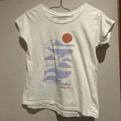 パタゴニア Tシャツ L12(150cm) 100%コットンのサムネイル