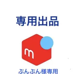 ぶんぶん様専用