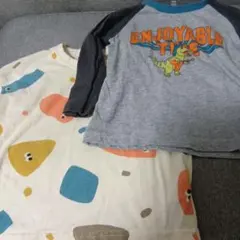 恐竜プリント長袖TシャツとカラフルTシャツセット 100cm