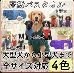 Item thumbnail for item 937ae5b9-ff9a-4c27-adaa-65801e112717