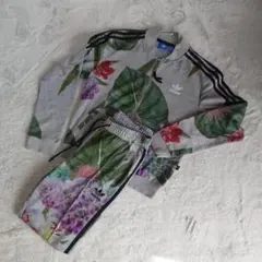 アディダス　ボタニカル　セットアップ　グレー　上着L パンツM