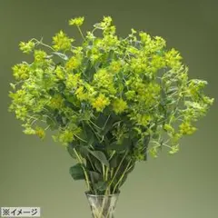 まー様 リクエスト 2点 まとめ商品