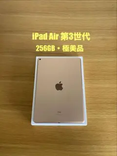 iPad Air 第3世代　256GB 良好状態　iPad本体