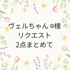 ヴェルちゃん ☺︎︎︎︎様 リクエスト 2点 まとめ商品