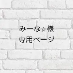 みーな⭐︎様専用ページ