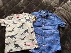 BABYDOLL恐竜Tシャツ＆baby GAPチェックシャツセット