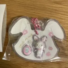 ウィッシュミーメル サンリオキャラクターズ パッケージチャーム＆チョコボーロ