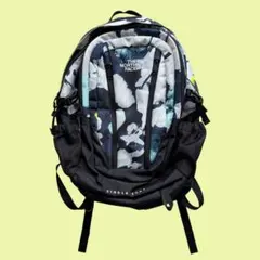 Item thumbnail for item e37c9175-777a-41ed-9e24-66a79b620c92