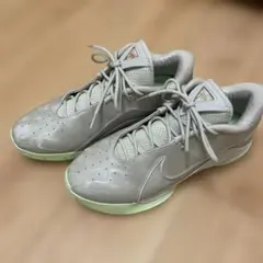 NIKE リヴァプール レブロン NXXT Gen Amplified 28.5 - メルカリ