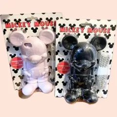 ★ SMIR NASLI × Disney / iPhone case