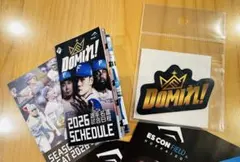 Item thumbnail for item 9903b762-84d7-4c8b-bc7f-7d4a08b8137d