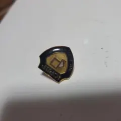 ICPBP ピンバッジ