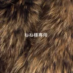 Item thumbnail for item a057fe4b-213a-4b0e-8079-966fcd71eb39