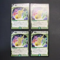 33037 爆進イントゥ・ザ・ワイルド 爆進イントゥザワイルド 初期 4枚セット