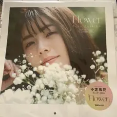 2026年最新】小芝風花 カレンダーの人気アイテム - メルカリ