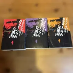 ドフトエフスキー　小説まとめ売り　カラマーゾフの兄弟 上・中・下　3冊セット