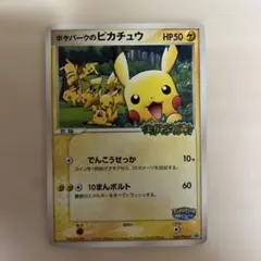 ポケパークのピカチュウ PROMO PCG-Pプロモカード 043/PCG-P