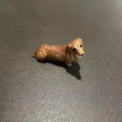 ミニチュアダックスフント　ミニチュアプラネット　miniature planetのサムネイル