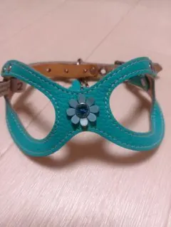 バディーベルト2号のサムネイル