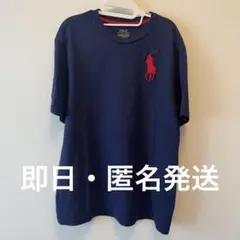 Big Pony コットン ジャージー Tシャツ