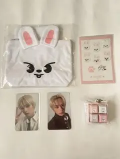 Stray Kids リノSKZOO Leebit グッズセット - メルカリ