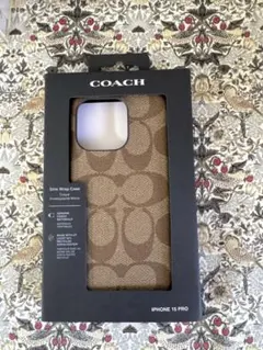 Item thumbnail for item 442e6488-1e8f-404e-b50e-38c4391f57d4