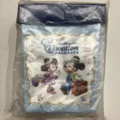 東京ディズニーリゾート バケーションパッケージ　ポップコーンケース