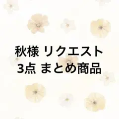 秋@まとめ買い値引きあり様 リクエスト 3点 まとめ商品