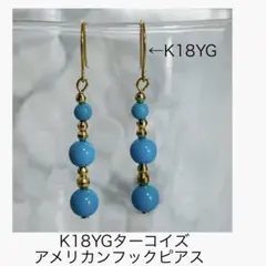 2026年最新】アメリカンピアス k18の人気アイテム - メルカリ