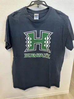 GILDAN Hawaii Tシャツ Mサイズ