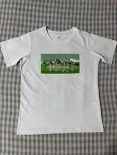 【XS】モンベル ウイックロンTシャツ 極上品 石鎚山 1114417のサムネイル