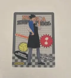 2025年最新】ハイキュー黒尾鉄朗クリアカードの人気アイテム - メルカリ