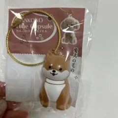 わんこのタイムカプセル 柴犬 キーホルダー