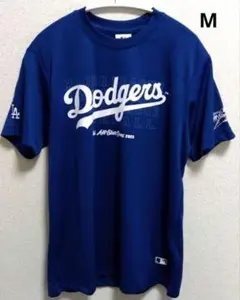 Item thumbnail for item e7fd98e6-87ea-4094-a342-3fdececcabc8