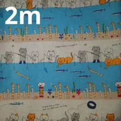 コットンこばやし【釣り猫featチンアナゴ】