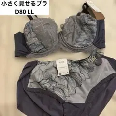 Wing Lesiage 小さく見せるブラ ショーツセット D80 LL