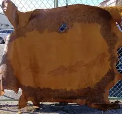 Item thumbnail for item d0c6b2c6-4650-4b88-8d26-ebc10a768612